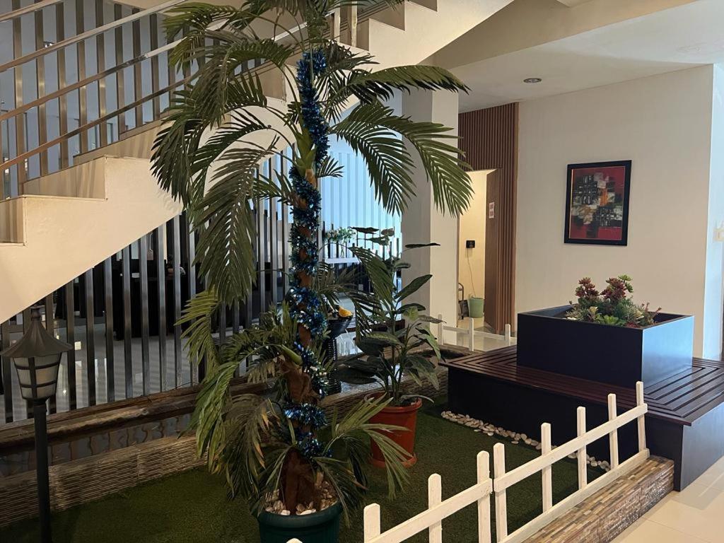 Ayla City Hotel Sorong Ngoại thất bức ảnh